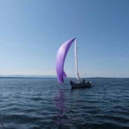 Terremoto wins both days of Race to the Straits